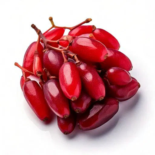 firefly close up of berberine on white background 43805